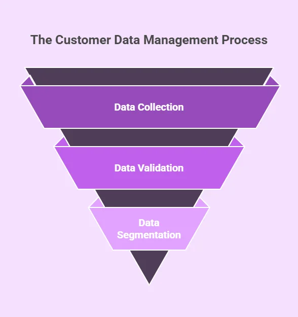 The Customer Data Management Process